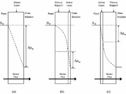 Figure 7 – Illustrations of driving forces profiles, expressed as water chemical potential, 