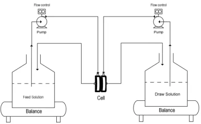 Figure  28  describes  the  apparatus  used  on  the  laboratory-scale  FO  experiments