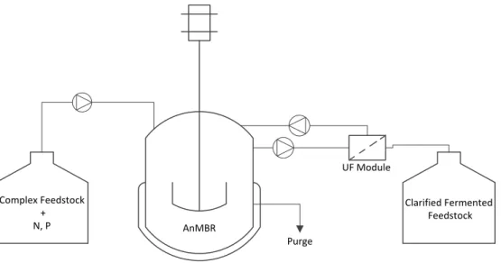 Figure 3.1- Acidogenic Fermentation set up. 