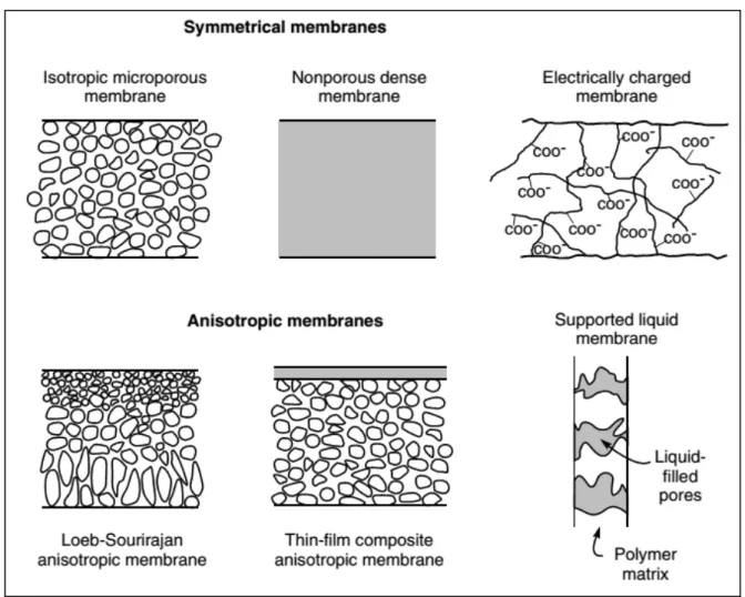 Figure 4. Schematic diagrams of the principal types of membranes (From: 