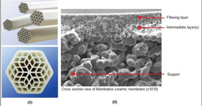 Figure 6. Tubular Ceramic membrane: Examples of Tubular Ceramic membrane  modules (A) and Cross section view of a Ceramic membrane (B)
