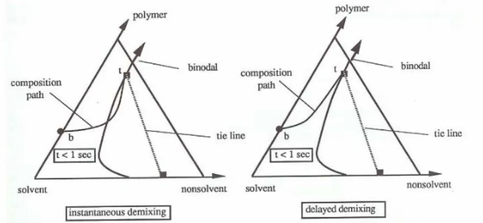 Fig. 9. Composition path of the casting solution in instantaneous (left) and delayed demixing (right) [12]