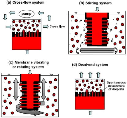 Figure 1.  Membrane emulsification systems for controlling hydrodynamic conditions near the membrane surface  (Vladisavljevic &amp; Williams, 2005)