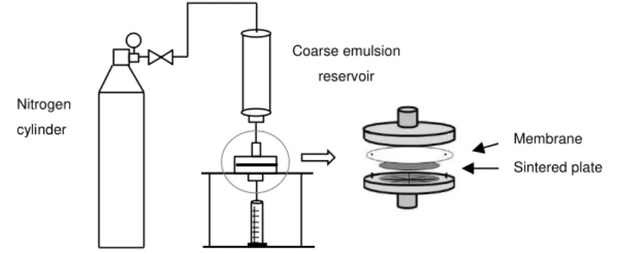 Figure 9.  Schematic representation of the premix membrane emulsification without agitation 