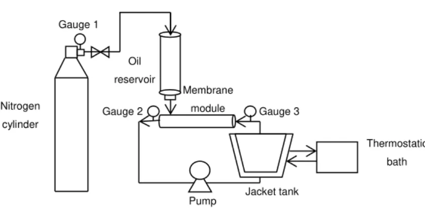 Figure 10.  Schematic representation of the direct membrane emulsification 