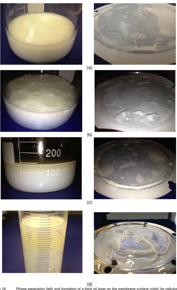 Figure 16.  Phase separation (left) and formation of a thick oil layer on the membrane surface (right) for cellulose ester  membrane emulsification for the processes CNT20 (a), CNT80 (b), CAT 20 (c) and CNT 80 (d)