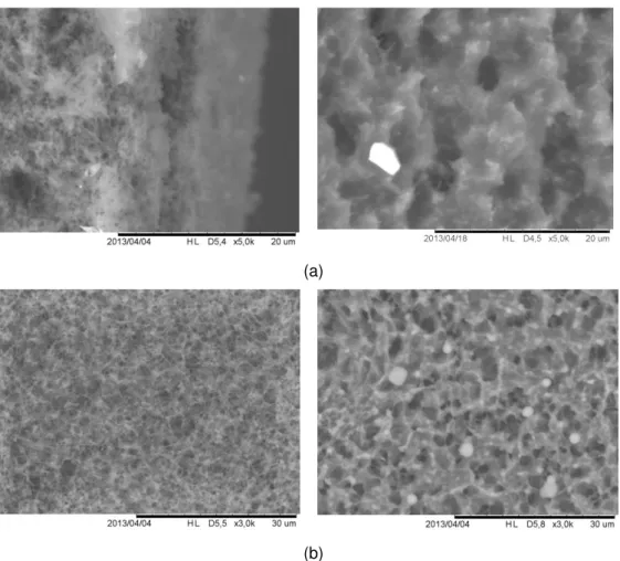 Figure 17.  Transversal (a) and frontal (b) SEM images of new (on the left) and used (on the right) cellulose acetate  membrane with mean pore size of 0.45 μm