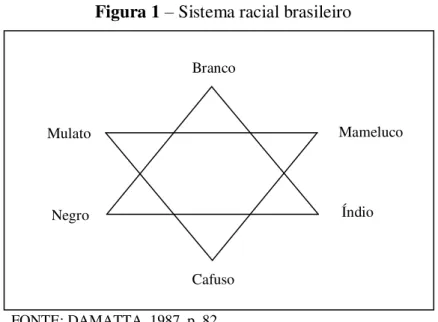 Figura 1 –  Sistema racial brasileiro 