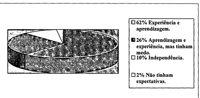 Gráfico 3: Expectativas dos adolescentes.