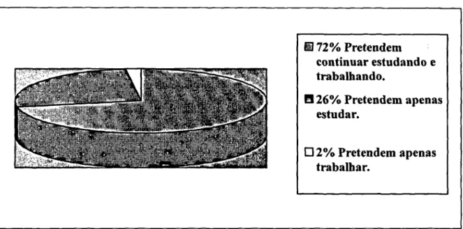 Gráfico 6: Futuro profissional.