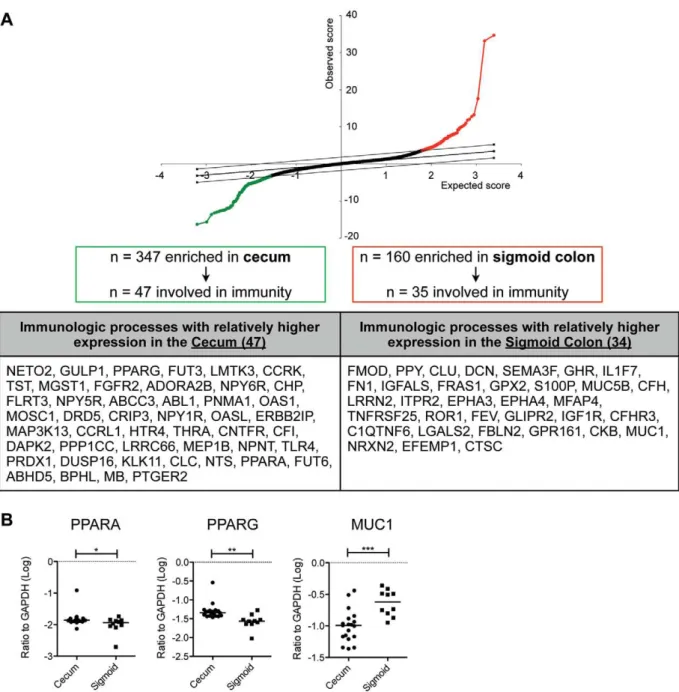 Figure 8. Identification of gene probes differentially expressed between the cecum (including ileocecal valve and appendiceal orifice) and the sigmoid colon by two-way SAM analysis