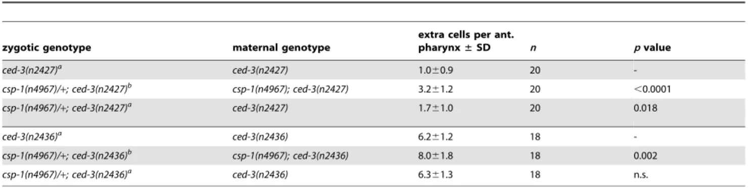 Table 4. Cell deaths occur in the absence of all C. elegans caspase genes.