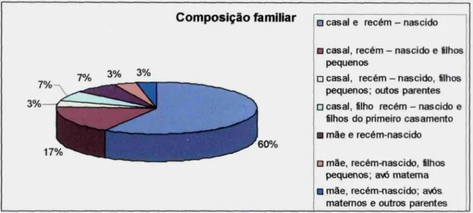 Gráfico 1: Composição familiar Fonte: gráfico elaborado pela autora.