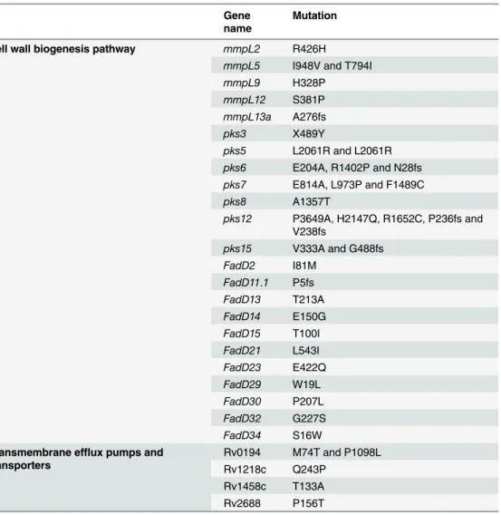 Table 5. Summary of potential mutations associated with cell wall biogenesis pathway, transmem- transmem-brane efflux pumps and transporters in UM 1072388579.
