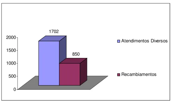 Gráfico  9  -  O  atendimento  no  NAF-R  -  Atendimento  e  Recambiamentos Realizados no NAF- R 1702 850 0500 100015002000 Atendimentos DiversosRecambiamentos