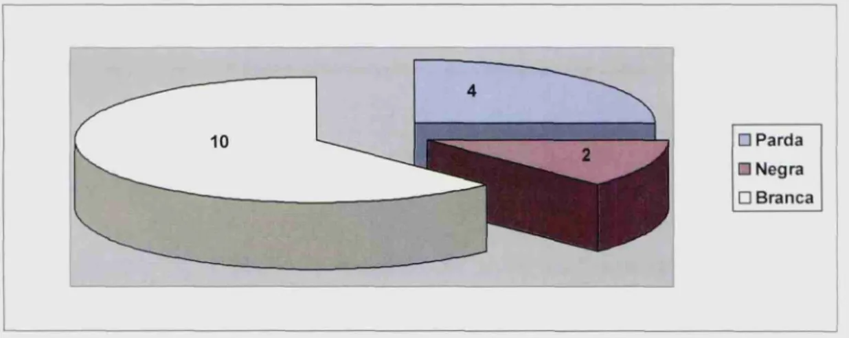 Gráfico 2 — Cor/Etnia dos Responsáveis Fonte: CadÚnico. Elaboração própria