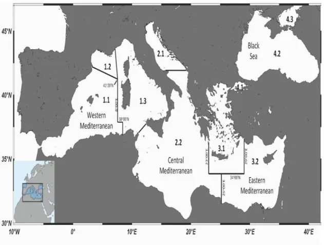 Fig 1. A map of the Mediterranean and the Black Sea (FAO Major Fishing Area 37) subareas (western Mediterranean, central Mediterranean, eastern Mediterranean, Black Sea) and their subdivisions (1.1: Balearic; 1.2: Gulf of Lions; 1.3: Sardinia; 2.1: Adriati