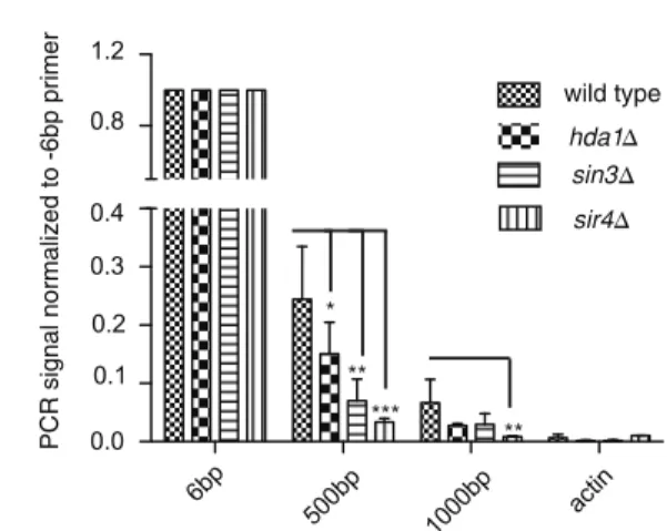 Figure 2. Chromatin immunoprecipitation confirms structural defects. (A) The immunoprecipitation of Rap1 following cross-linking should be associated with subtelomeric sequences at natural telomere 6R if the fold-back structure is intact (upper diagram); h