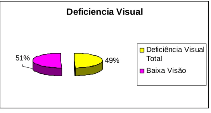 Gráfico  6 - Deficiência Visual 