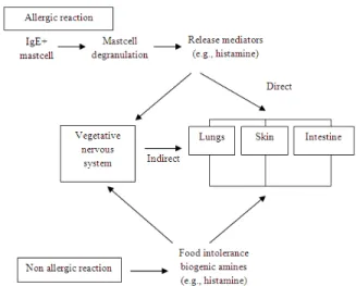 Fig. 1:  Histamine  release  in  response  to  allergic  reaction  and  consumption  of  histamine  containing food [6]