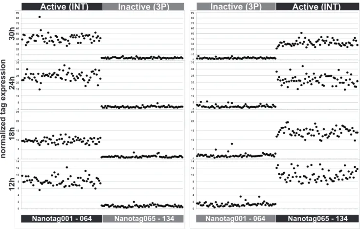 Figure 2. Variations among 130 Nanotags driven by the same CRM at four time points. Right panels show expression levels of the first half of Nanotag vectors driven by the same known active CRM, the nodal INT [14] and the other half driven by the same known