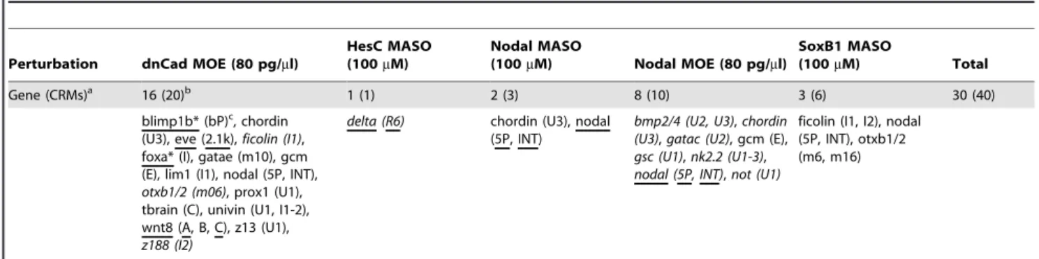 Table 1. List of genes and CRMs that showed comparable responses to the perturbations.