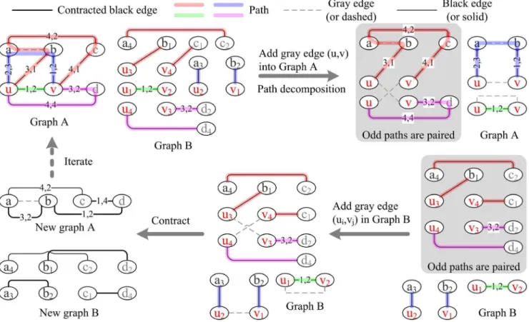 Figure 3. Adjacency inference in H (i.e., gray dashed edges in graph B) from matched vertices u, v in graph A
