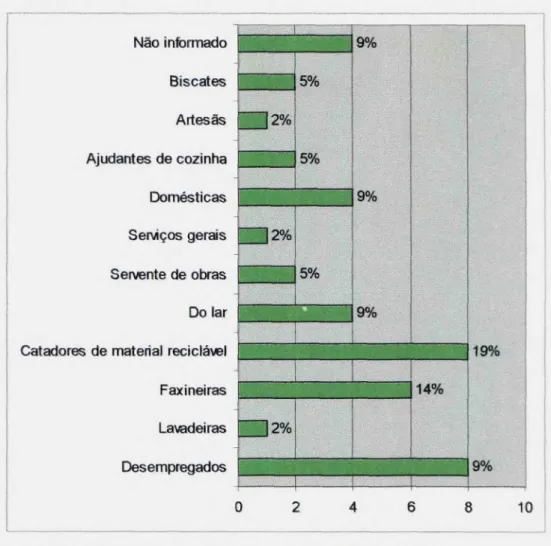 Gráfico 6 — Atividades profissionais dos responsáveis perante o PETI.