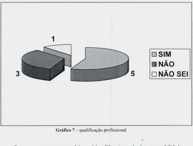 Gráfico 7 — qualificação profissional
