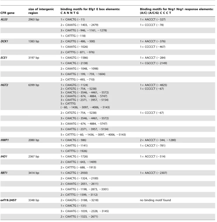 Table 1. In silico promoter analysis of core filamentation response genes.