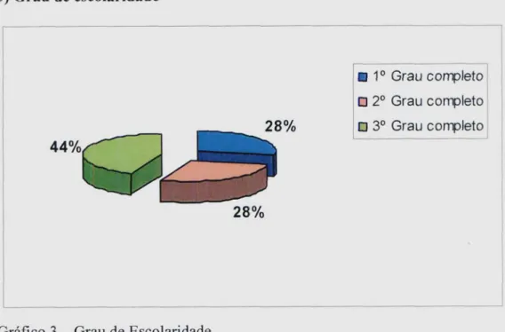 Gráfico 3 — Grau de Escolaridade