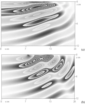 Fig. 2. Module of field velocity within the boundary layer on the strip (T b =14 s, a=2 cm, U=1 cm/s, λ=14 cm, F r=1.12, Re=200).