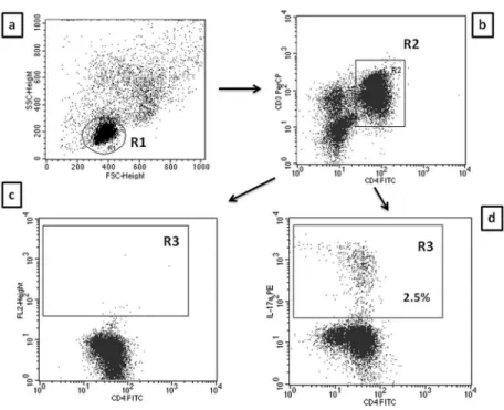 Fig 1. Evaluation of CD4/CD3+/IL-17A+ (Th17) cells frequency in ALD patients by flow cytometry