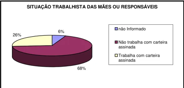 Ilustração 14: Gráfico indicativo da situação trabalhista das mães ou responsáveis  inseridas no Programa de Erradicação do Trabalho Infantil – PETI de Florianópolis