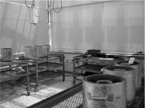 Fig. 1. Experimental set-up in one chamber at the Phytotron facility. Soil microcosms were placed in on trolleys in the climate chamber in triplicate groups that represent the four moisture treatment groups.