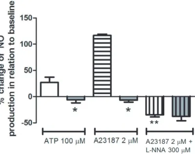 Figure 4. Expression of eNOS and caveolin-1 in endothelial cells from control and S. mansoni -infected mice