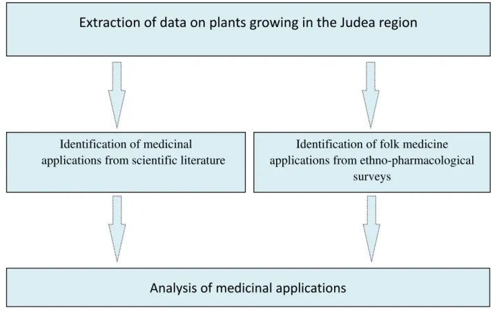 Fig. 1 Workflow of extraction of Judea region plants and their medicinal applications