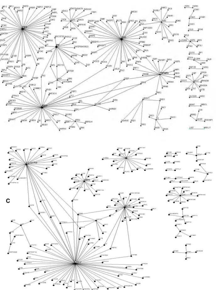 Fig. 3 Graphical output of the direct protein-protein interactions (PPIs) between human targets of the major compounds found in  the  V