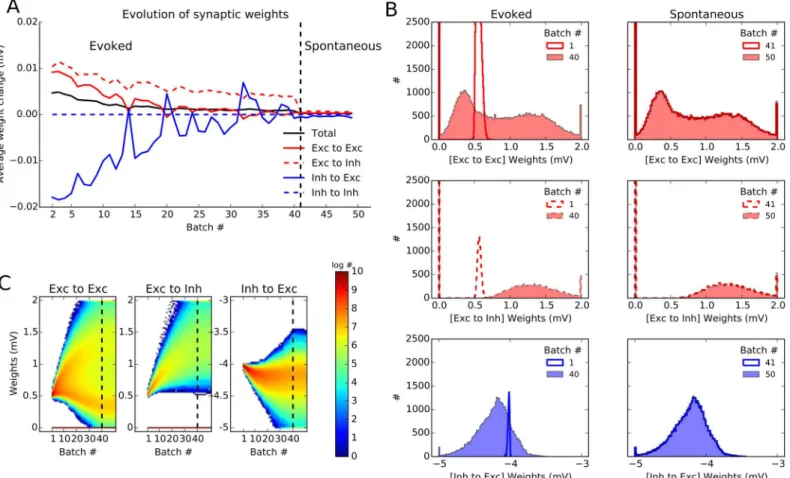Fig 6. Dynamics and stability of learned weights. (A) Evolution of synaptic weights in the network during plasticity