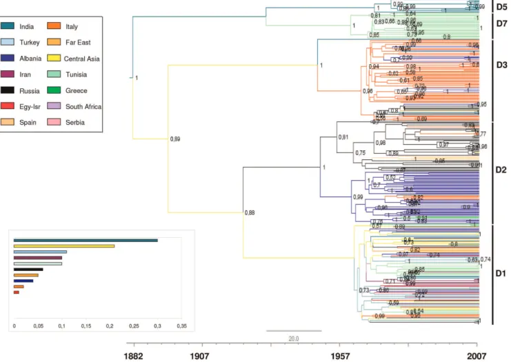 Figure 1 shows the maximum credibility tree of the main data set, using the previously estimated mean evolutionary rate of the HBV P sequences as a prior probability distribution