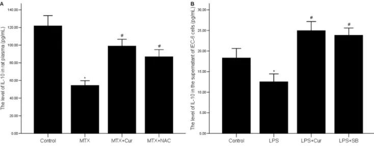 Figure 6. Effects of curcumin on small intestinal SOD activity. The level of SOD was inhibited by MTX, while elevated by treating with curcumin or NAC