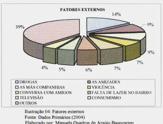 Ilustração 04: Fatores externos Fonte: Dados Primários (2004)
