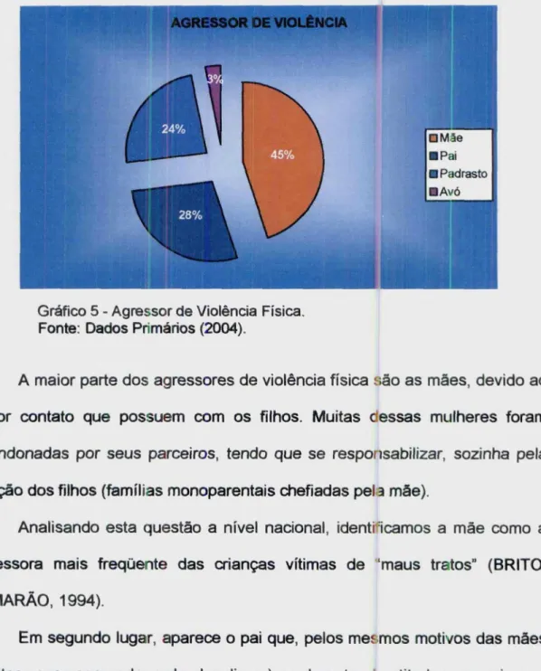 Gráfico 5 - Agressor de Violência Física.