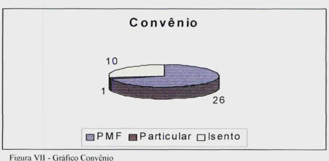 Figura VII - Gráfico Convênio