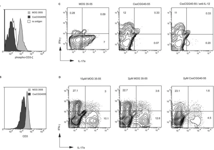 Figure 5D), but, interestingly, the highest increase was observed for Fas-L.