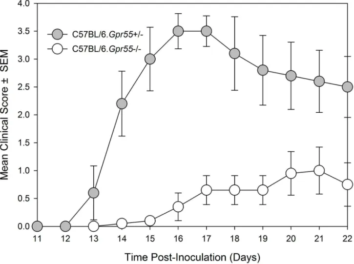 Figure 1.  GPR55-deficiency can inhibit the development of EAE in C57BL/6 mice.  Female C57BL/6 GPR55 knockout (n=10 white circles) and heterozygous wildtype littermates (n=5
