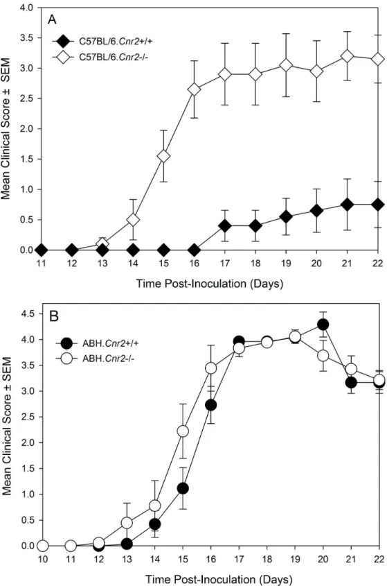 Figure  2.    Genetic  Background  may  influence  the  development  of  EAE  in  CB 2   receptor  knockout  mice