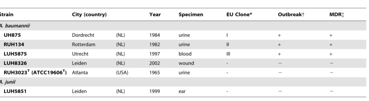 Table 2. Morbidity and lung pathology associated with Acinetobacter respiratory infection.