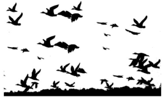 Fig. 2 The movement of a swarm. 