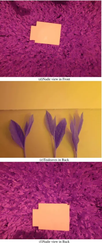 Fig. 5.   Example of the acquired NIR images for the three intensive test sites,  Pilot,  Front  and  Back  of  tea  farm  areas  which  are  taken  just  before  harvest,  April 23, Mar 2 and May 3 in 2015, respectively 